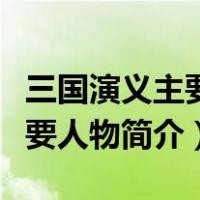 三国演义主要人物简介身份相貌（三国演义主要人物简介）