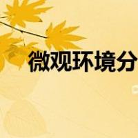 微观环境分析包括哪些（微观环境分析）