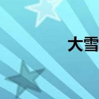 大雪践约翻译（大雪践约）