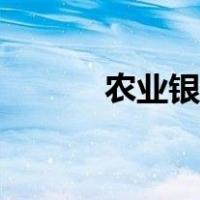 农业银行房贷查询（房贷查询）