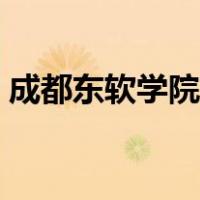 成都东软学院学费多少（成都东软学院学费）