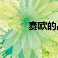 赛欧的战斗魔法王翘的平民打法