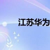 江苏华为集团（苏江华为什么辞职）