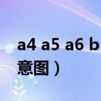 a4 a5 a6 b5的尺寸（a4 a5 a6 b5的大小示意图）