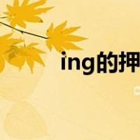 ing的押韵字成语（ing的押韵字）