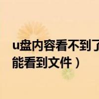 u盘内容看不到了（U盘里看不见文件 但是仍占内存 怎么才能看到文件）