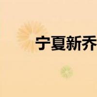 宁夏新乔煤矿挂牌出让（挂牌出让）