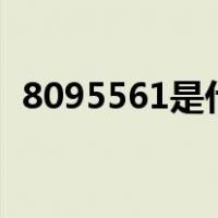 8095561是什么电话（95561是什么电话）