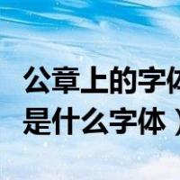 公章上的字体是什么字体字号（公章上的字体是什么字体）