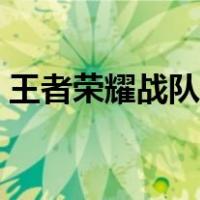 王者荣耀战队升级人数（王者荣耀战队升级）