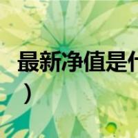最新净值是什么意思啊（最新净值是什么意思）
