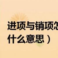 进项与销项怎么汇总（会计中的进项和销项是什么意思）