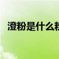 澄粉是什么粉啊（澄粉是什么粉可以代替）