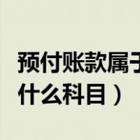 预付账款属于什么科目类别的（预付账款属于什么科目）