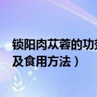 锁阳肉苁蓉的功效与作用及食用方法（肉苁蓉的功效与作用及食用方法）