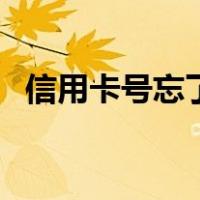 信用卡号忘了怎样查询（信用卡号码大全）