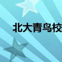 北大青鸟校区培训学费（北大青鸟校区）