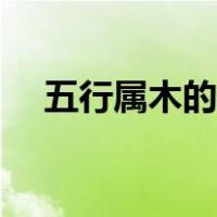 五行属木的字大全（五行属火的字大全）