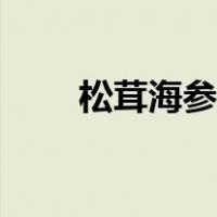松茸海参汤的做法（海参汤的做法）