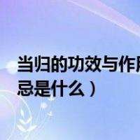 当归的功效与作用及禁忌是什么药（当归的功效与作用及禁忌是什么）