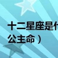 十二星座是什么公主有公主命（十二星座谁有公主命）