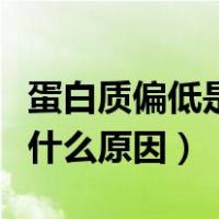 蛋白质偏低是什么原因造成的（蛋白质偏低是什么原因）