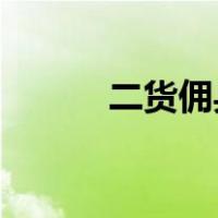 二货佣兵 一世华裳（一世华裳）