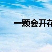 一颗会开花的树 诗（一颗会开花的树）