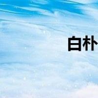 白朴念什么（白朴怎么读）
