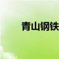 青山钢铁集团公司简介（青山钢铁）
