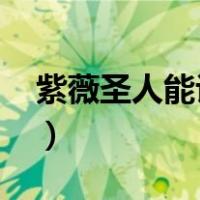 紫薇圣人能认出圣女（紫薇圣人和圣女2019）