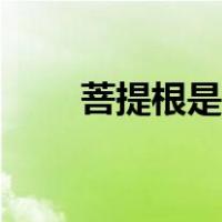 菩提根是什么味道（菩提根是什么）