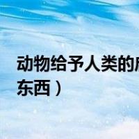 动物给予人类的启示（动物给人类的启发让人类发明了什么东西）