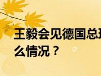 王毅会见德国总理外事顾问普吕特纳 这是什么情况？