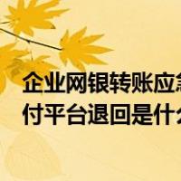 企业网银转账应急模式退回（企业银行和应急模式业务被支付平台退回是什么意思）