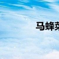 马蜂菜是马齿苋吗（马蜂菜）