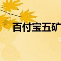 百付宝五矿国际信托有限公司（百付宝）