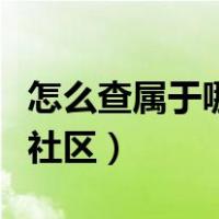 怎么查属于哪个社区居委会（怎么查属于哪个社区）