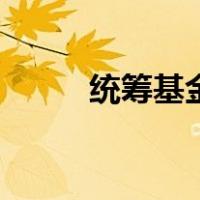 统筹基金是什么意思（统筹基金）