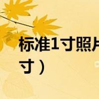 标准1寸照片尺寸多大像素（标准1寸照片尺寸）