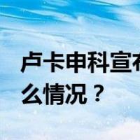 卢卡申科宣布，参加2025年总统大选 这是什么情况？