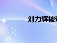 刘力辉被查 这是什么情况？