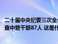 二十届中央纪委三次全会工作报告公布，2023年立案审查调查中管干部87人 这是什么情况？