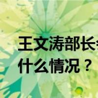 王文涛部长会见世贸组织总干事伊维拉 这是什么情况？