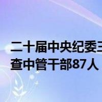 二十届中央纪委三次全会工作报告公布，2023年立案审查调查中管干部87人 这是什么情况？