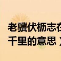 老骥伏枥志在千里的意思全诗（老骥伏枥志在千里的意思）