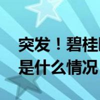 突发！碧桂园被提出清盘呈请，紧急回应 这是什么情况？