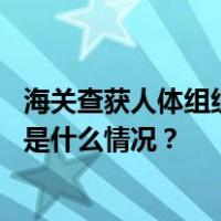 海关查获人体组织制品玩具：为人骨等人体组织成分制成 这是什么情况？