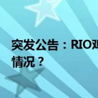 突发公告：RIO鸡尾酒母公司董事长被立案调查！ 这是什么情况？