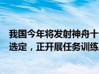 我国今年将发射神舟十八、十九号载人飞船，航天员乘组已选定，正开展任务训练 这是什么情况？